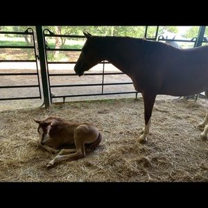 Meet your Posher, Judy